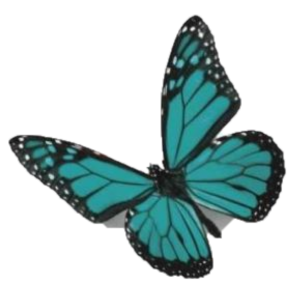 Questionnaire Structure et Processus